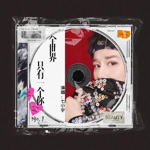 全世界只有一个你