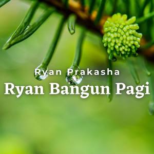 Ryan Bangun Pagi