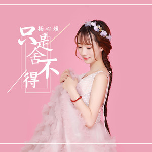 只是舍不得 (DJ可乐版)