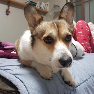 내 삶을 사랑해