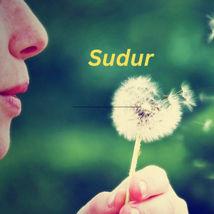 Sudur