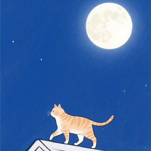 小猫