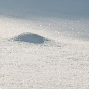 雪の精