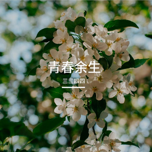 甜甜的风
