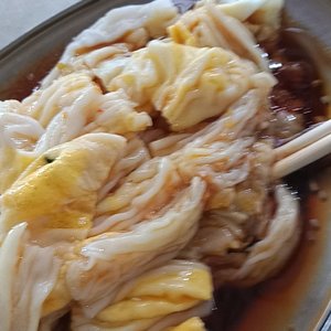 杨艺人-万家灯火