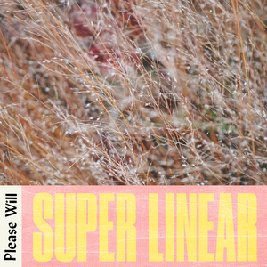 Super Linear