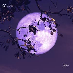 Kompa NY (feat. Kitoko Sound, Jazzy Rhodes & Din BEATS)