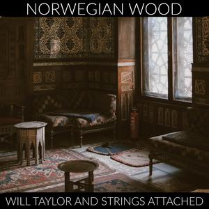 Norwegian Wood (feat. Karen Mal)