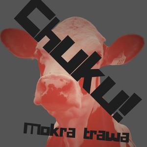 Chuku (Mokra trawa)