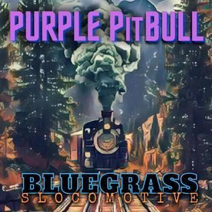Bluegrass Slocomotive (Strings Only)