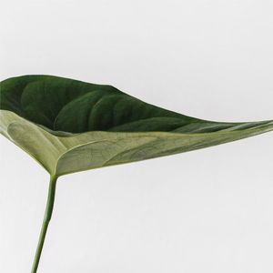 闲敲棋子落灯花 I 古诗词中的白噪音Vol6