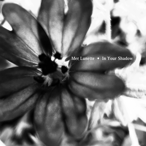 In Your Shadow