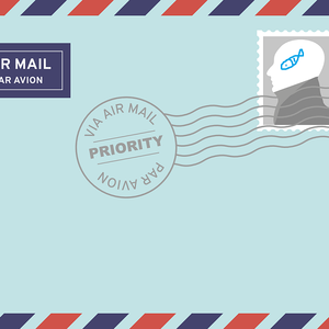 信(Prod. by Jianastic.X)