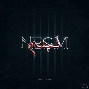 NEGM