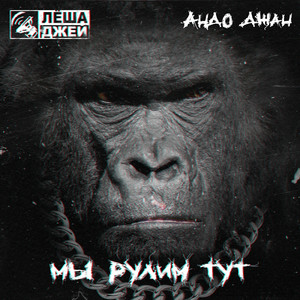 Мы рулим тут