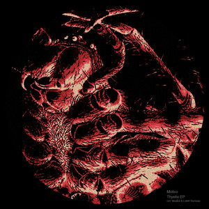 Orochi (Original Mix)