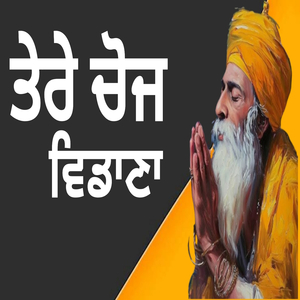 ਤੇਰੇ ਚੋਜ ਵਿਡਾਣਾ