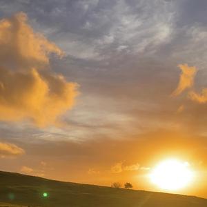 White Sandy Beach Of Hawai'i