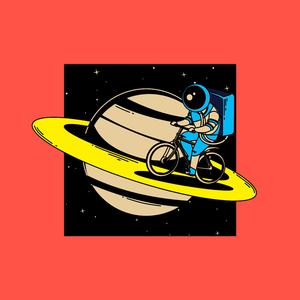 Space Tourist Fool