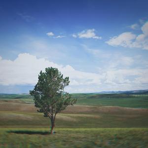 我和suno给珺珺的歌