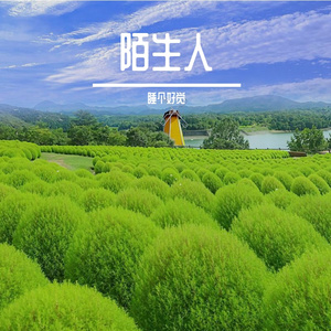 铃声