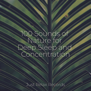 Purrfect Pounce Party