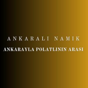 Ankarayla Polatlının Arası