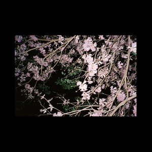 DPDR (Eluize No Nonsense Club Mix)