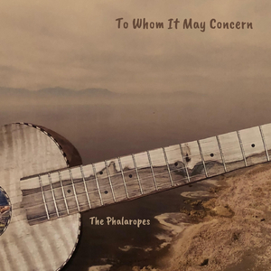 Knocking on Heaven's Door