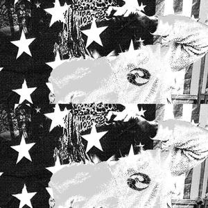 RABBIT (feat. elira fae)