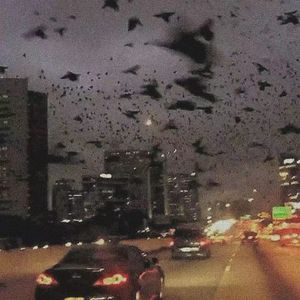 grow (prod by Lisure)