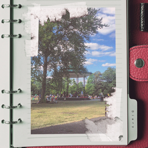 공원에서 듣는 음악