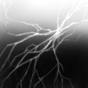 悲伤从眼中流出