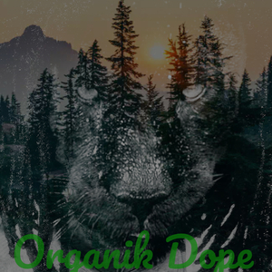 Crashed Landed in Nirvana