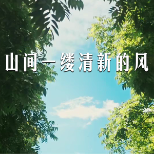 山间一缕清新的风