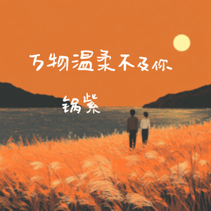 万物温柔不及你