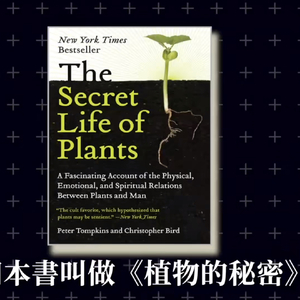 犯罪现场的神秘追踪