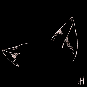 Afterlife(For 猫猫)