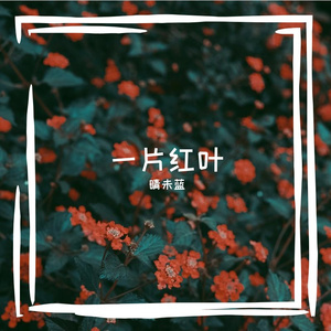 一片红叶
