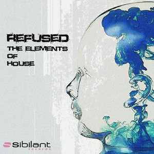 The Elements of House (Vincenzo De Robertis Remix)