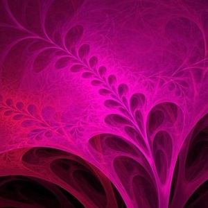 玫瑰花的花圃园（prod by gr33nartbeats）