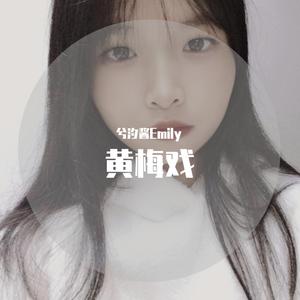 黄梅戏(流行唱腔版)