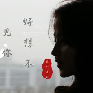 好想不见你