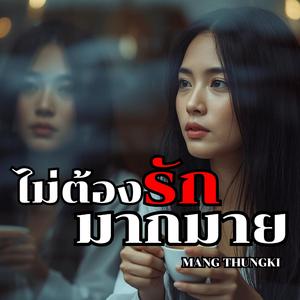 ไม่ต้องรักมากมาย