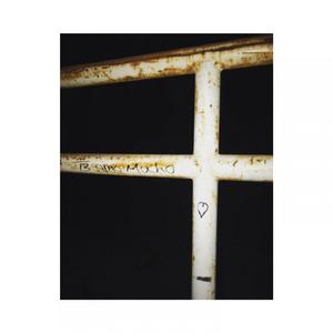 Lo que nunca dijiste