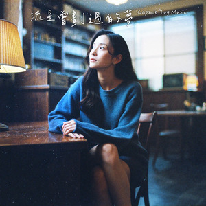 流星曾劃過的夢