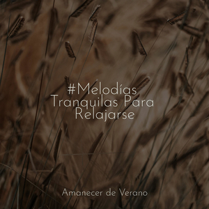 Envuelto en el Velo del Anochecer