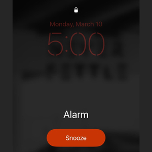 La Alarma