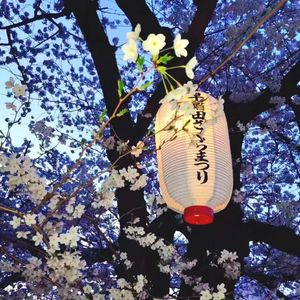 [Free]"断弦"-Sad Jay Chou Type Beat