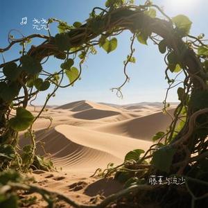 藤蔓与流沙